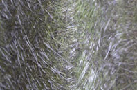 Hollins End fibreglass roof work